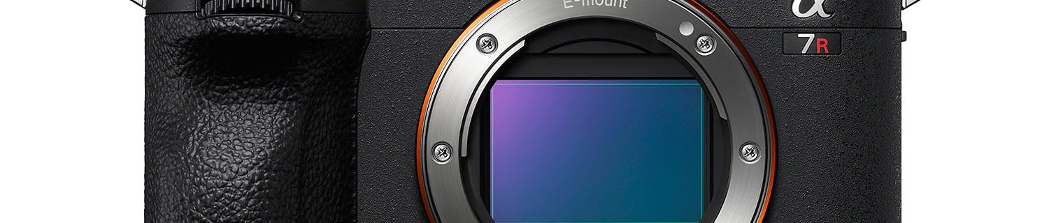 SONY A7R V har insektsfokus